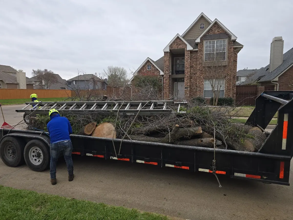 Expert Tree Pest Control with proper safety equipment in Victory Mills